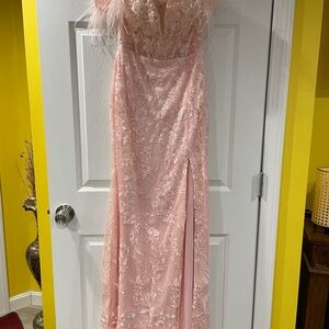 Elegant Pink Lace Gown with Feather Details
